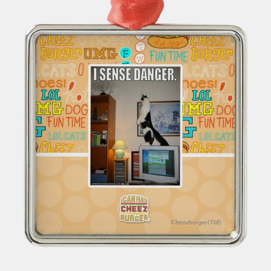 私は危険を感じます メタルオーナメント (正面)