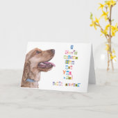 私は古いバースデー・カードいかにであるか信じることができません カード (黄色い花)