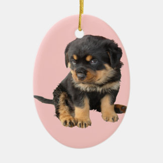 私は可愛いと言われる必要はない セラミックオーナメント