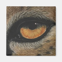 私は君に得目を向けている。チータ