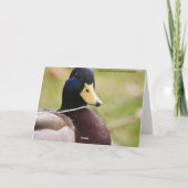 私は君の名考える刺になる サンキューカード (裏面)