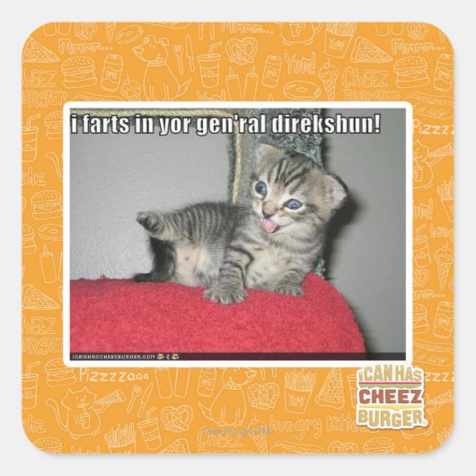 私は君の将軍ディレクシュンで農場 スクエアシール (正面)