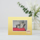 私は君の将軍ディレクシュンで農場 ポストカード (スタンド正面)