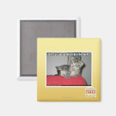 私は君の将軍ディレクシュンで農場 マグネット (正面/裏面)