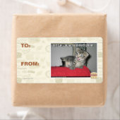 私は君の将軍ディレクシュンで農場 ラベル (インサイチュ)