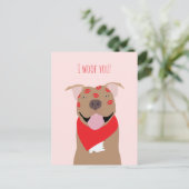 私は君アメリカのブルドッグキスマーク シーズンポストカード (スタンド正面)