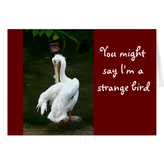 「私は変な鳥だと言うかもしれない…」 /珍しい笑い (正面横)