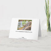 私は失った… 私が見つけたので! カード (裏面)