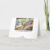 私は失った… 私が見つけたので! カード (裏面)