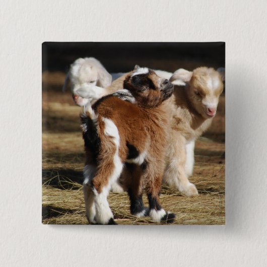 私は子供が大好き 缶バッジ (正面)