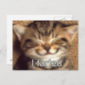 私は子猫はがきを作った ポストカード (正面/裏面)