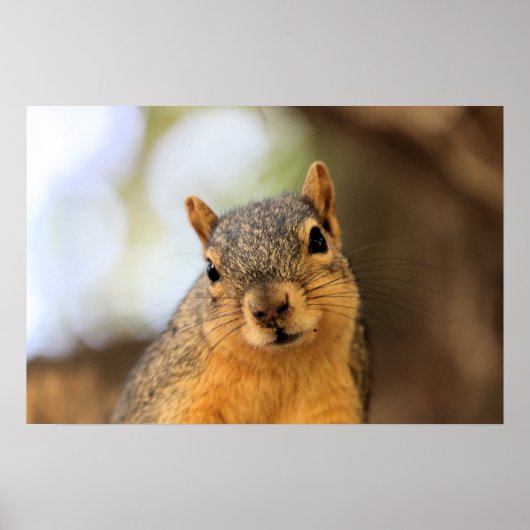 私は密かに破壊者だ！うわーっ！ ポスター (正面)