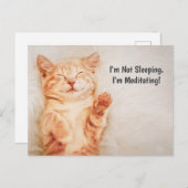 私は寝ていない、子猫めい想でおもしろいす ポストカード (正面/裏面)