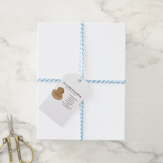 私は小さなグラウンドホッグだ ギフトタグ (より糸付き)