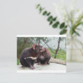 私は少し悪魔 ポストカード (スタンド正面)