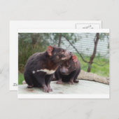 私は少し悪魔 ポストカード (正面/裏面)