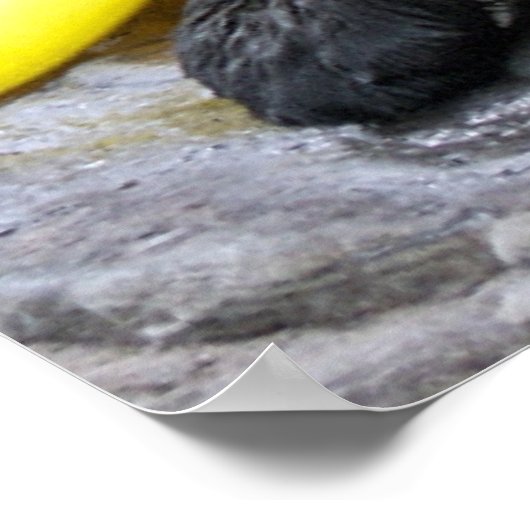 私は常にあなたのポスターを愛する ポスター (角)