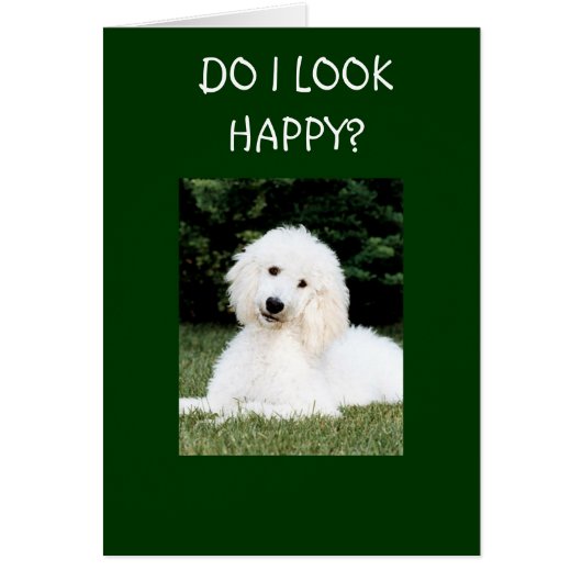 私は幸せそうか？ (正面)