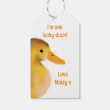 私は幸運のカモの好意だ