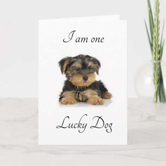 私は幸運結婚したです カード (正面)