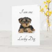 私は幸運結婚したです カード (黄色い花)