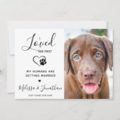 私は彼女の最初のペットモダンの写真の犬の婚約を愛した 案内状 (正面)