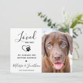 私は彼女の最初のペットモダンの写真の犬の婚約を愛した 案内状 (スタンド正面)