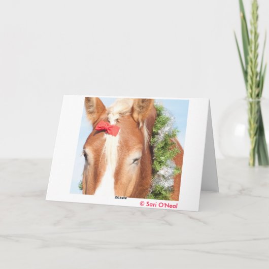 私は得クリスマスのソファ….. シーズンカード (裏面)