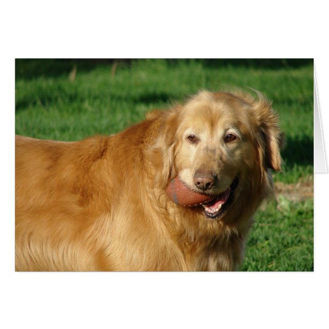 私は得サッカー (正面横)