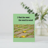 私は必要感じ...雑草の必要性。 招待状 (スタンド正面)