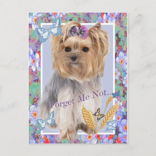 私は忘れヨークシャーテリアカードではない ポストカード (正面)