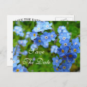 私は忘れ日付のカードを保存結婚しない 案内ポストカード (正面/裏面)