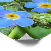 私は忘れ花のポスターではない ポスター (角)