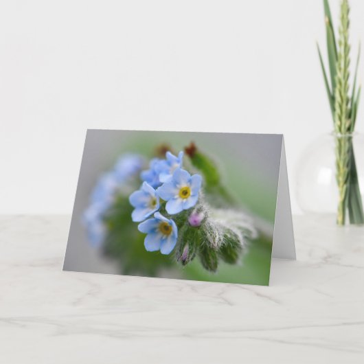 私は忘れ花を咲かせない カード (正面)