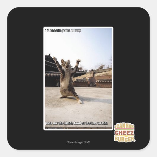 私は怒りのシャオリンの足を見る スクエアシール (正面)