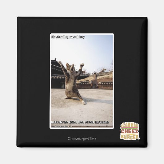 私は怒りのシャオリンの足を見る マグネット (正面)