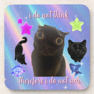 私は思わない、故に私は存在しない コースター