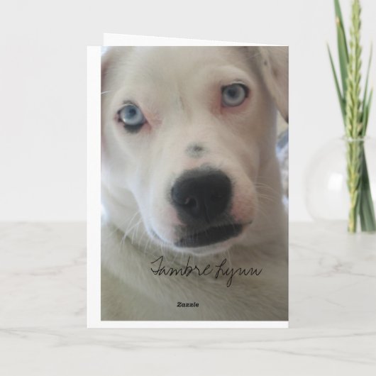 私は恋しく思います…. カード (裏面)