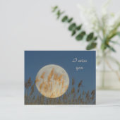 私は恋しく思います ポストカード (スタンド正面)