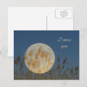 私は恋しく思います ポストカード (正面/裏面)