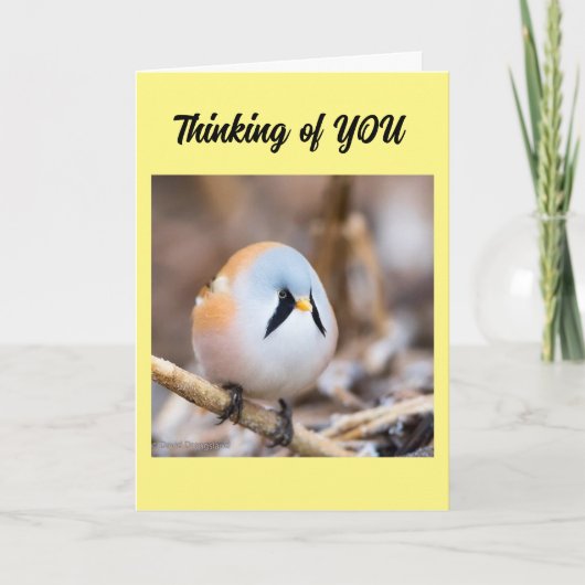 *私は恋しく思お前のカードで言いたい カード (正面)