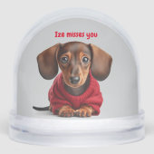 私は恋しく思ダッシュント子犬 (正面)