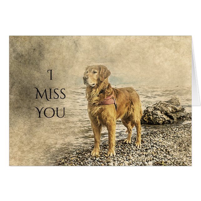 私は恋しく思君を悲しませる (正面横)