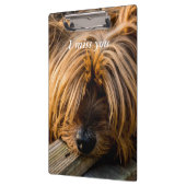 私は恋しく思君 クリップボード (左)