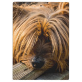 私は恋しく思君 クリップボード (裏面)