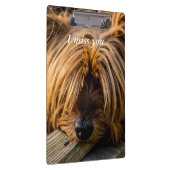 私は恋しく思君 クリップボード (右)