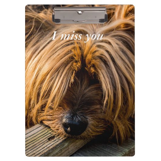 私は恋しく思君 クリップボード (正面)