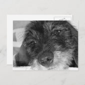 私は恋しく思君 ポストカード (正面/裏面)