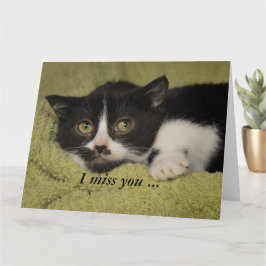 私は恋しく思恥ずかしがり屋のTuxedo Kittenカード カード