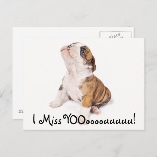 私は恋しく思英語のブルドッグのポストカード ポストカード (正面/裏面)
